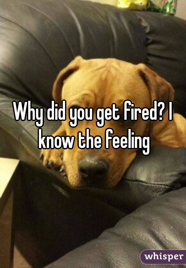 Why did you get fired? I know the feeling