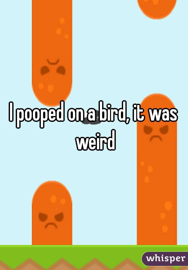 I pooped on a bird, it was weird
