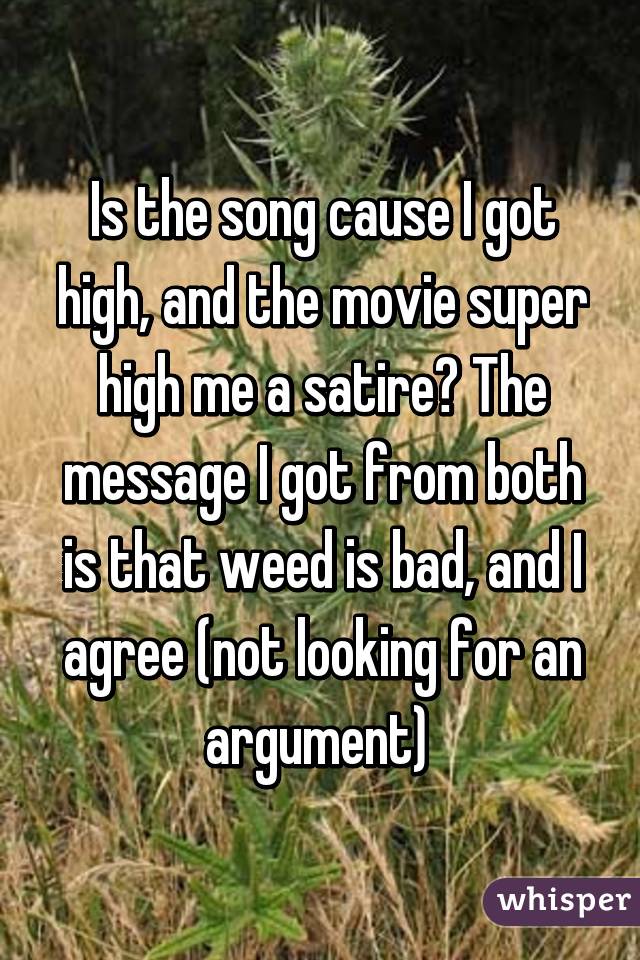 Is the song cause I got high, and the movie super high me a satire? The message I got from both is that weed is bad, and I agree (not looking for an argument) 