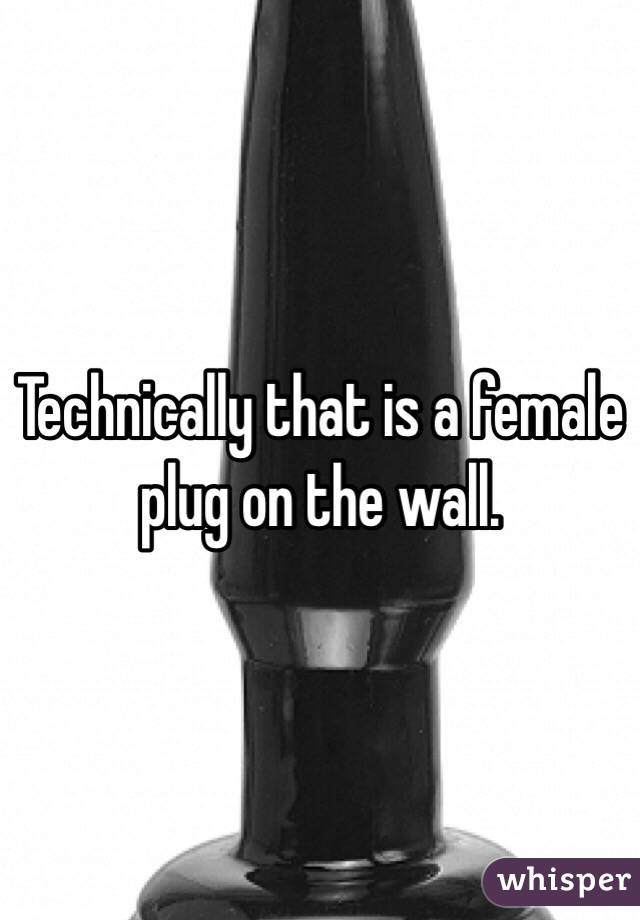 Technically that is a female plug on the wall. 