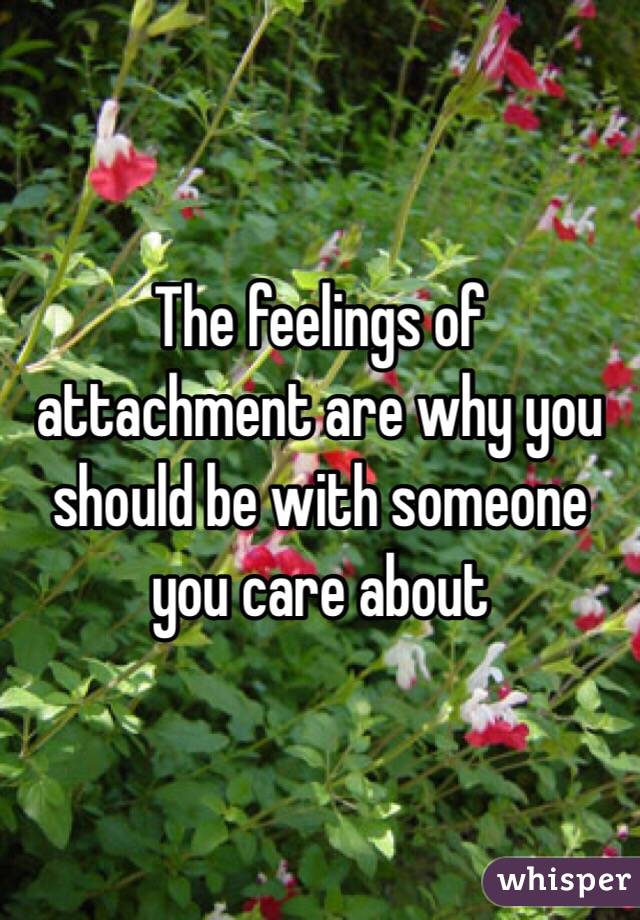 The feelings of attachment are why you should be with someone you care about