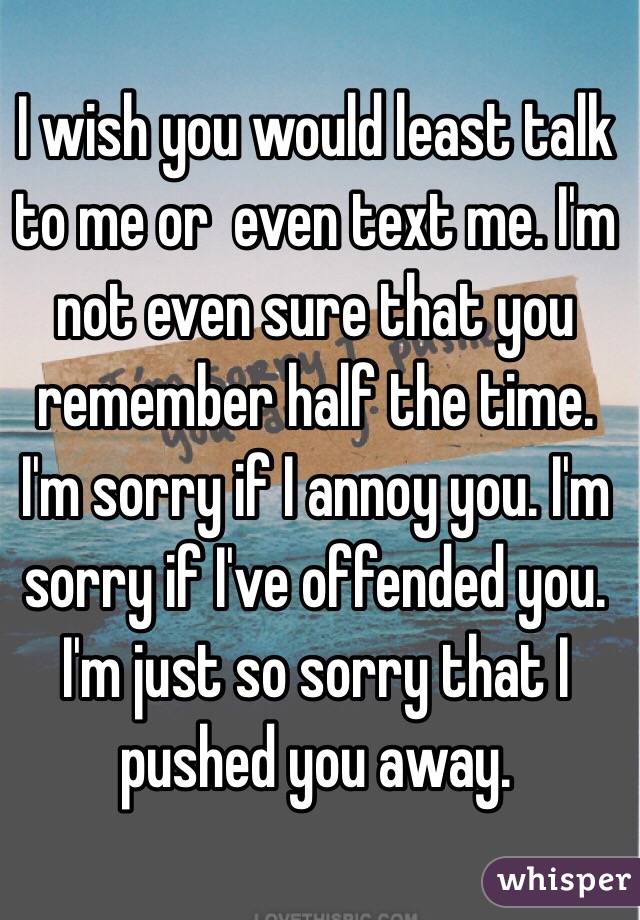 I wish you would least talk to me or  even text me. I'm not even sure that you remember half the time. I'm sorry if I annoy you. I'm sorry if I've offended you. I'm just so sorry that I pushed you away.