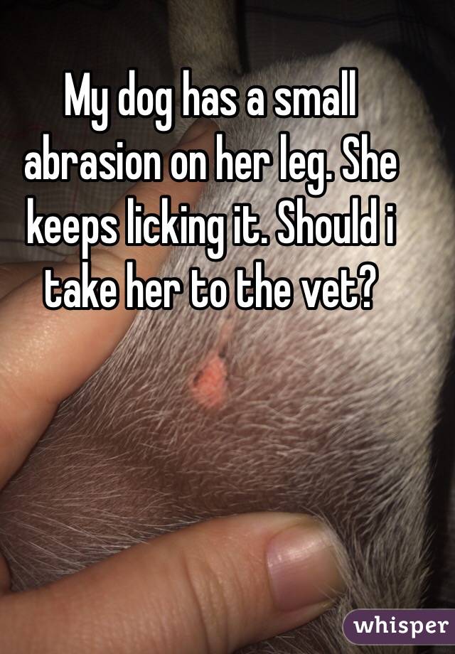 My dog has a small abrasion on her leg. She keeps licking it. Should i take her to the vet?
