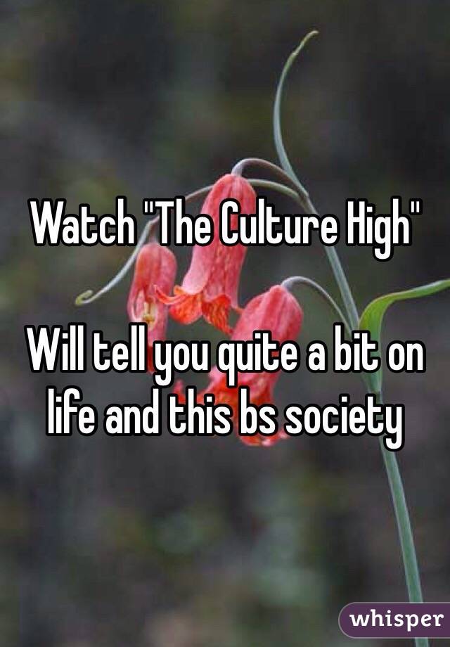 Watch "The Culture High"

Will tell you quite a bit on life and this bs society 
