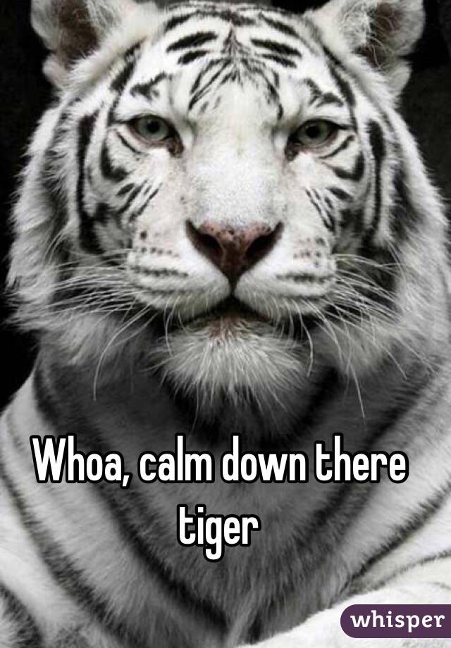 Whoa, calm down there tiger