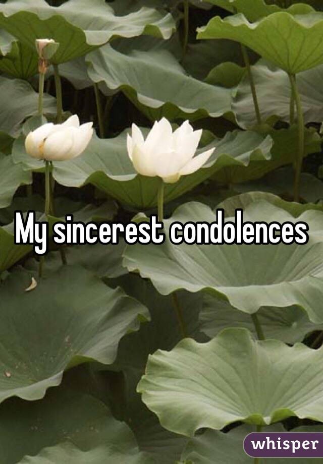 My sincerest condolences 