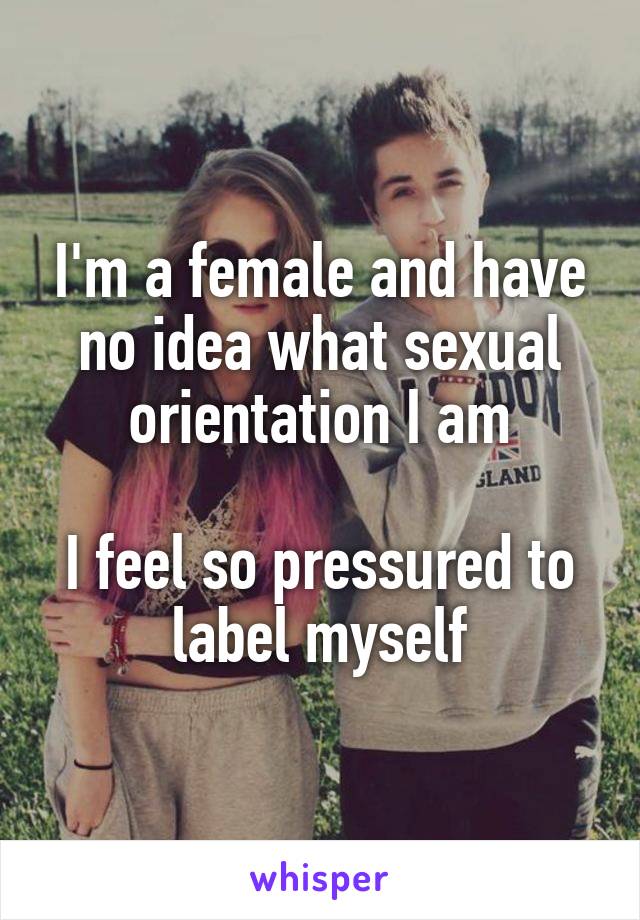 I'm a female and have no idea what sexual orientation I am

I feel so pressured to label myself
