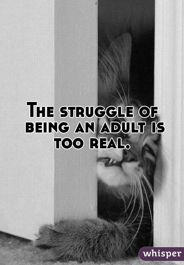 The struggle of being an adult is too real. 