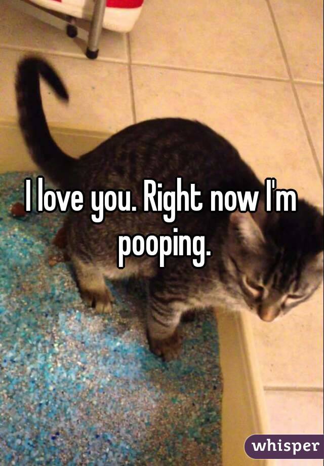 I love you. Right now I'm pooping.