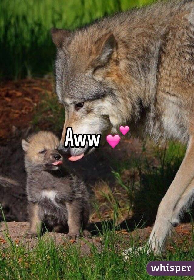 Aww 💕