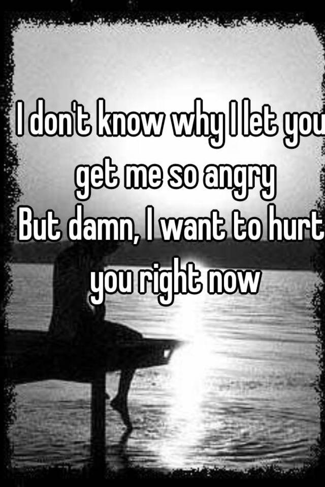 i-don-t-know-why-i-let-you-get-me-so-angry-but-damn-i-want-to-hurt-you