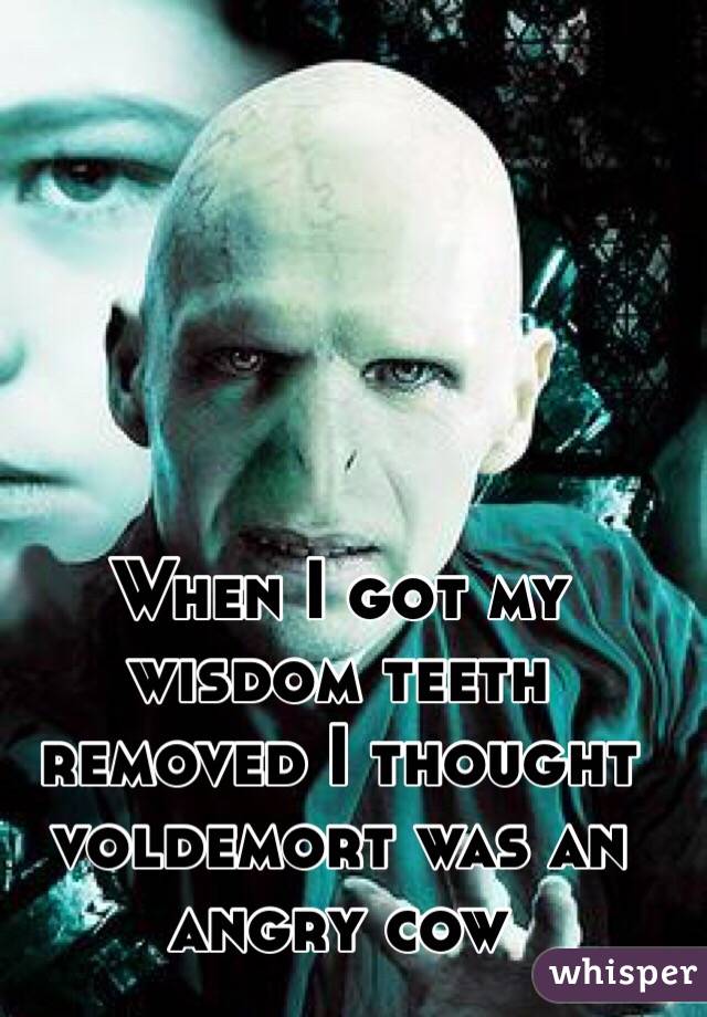 When I got my wisdom teeth removed I thought voldemort was an angry cow
