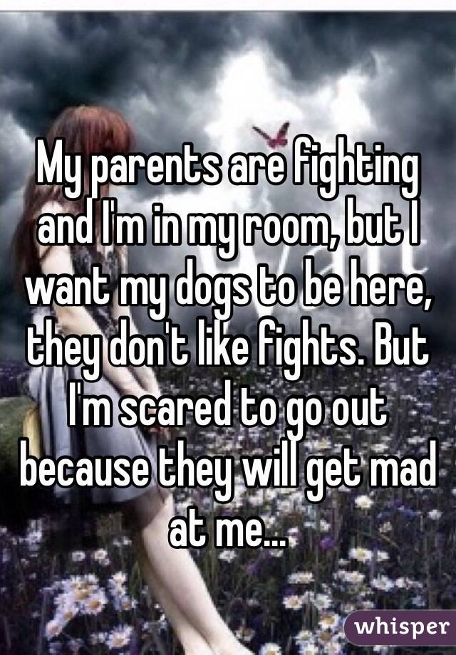 My parents are fighting and I'm in my room, but I want my dogs to be here, they don't like fights. But I'm scared to go out because they will get mad at me...