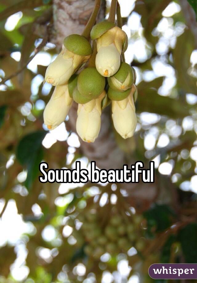 Sounds beautiful