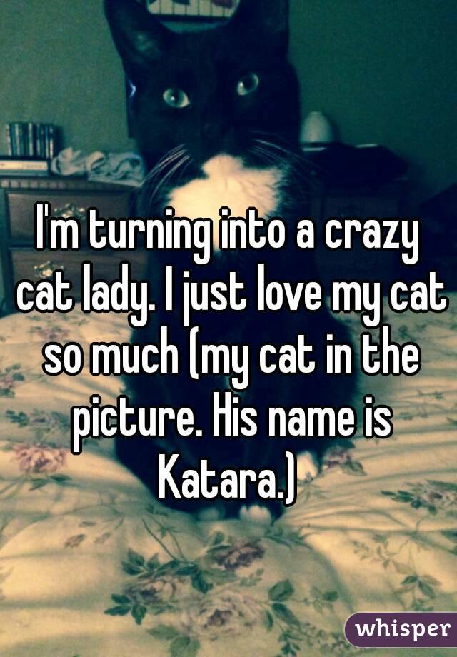 I'm turning into a crazy cat lady. I just love my cat so much (my cat in the picture. His name is Katara.) 