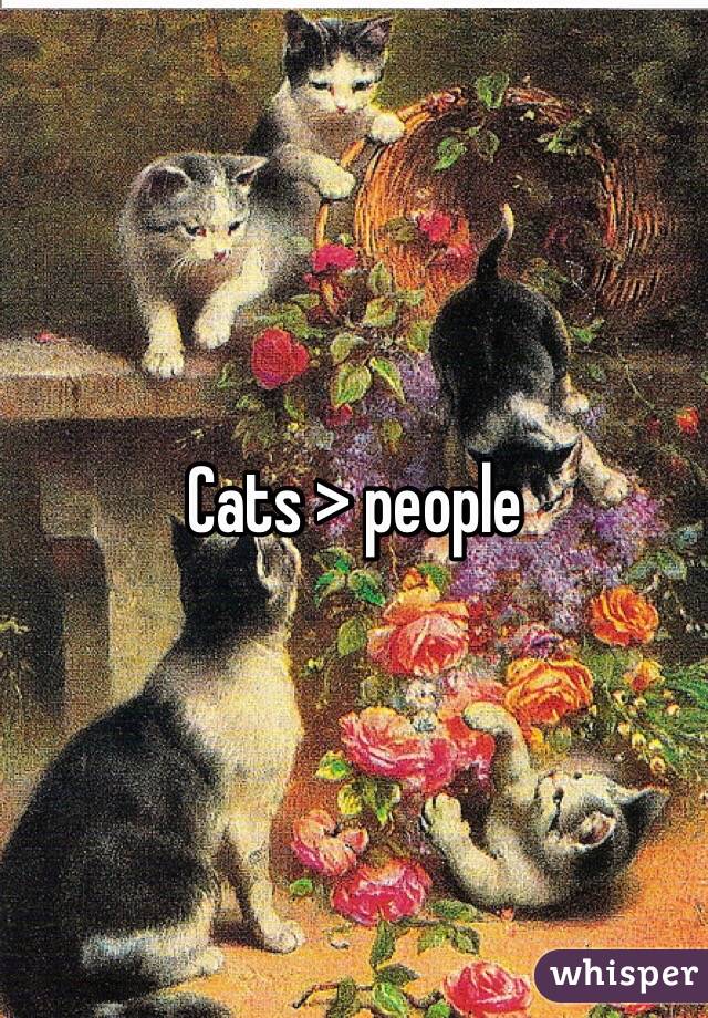 Cats > people 