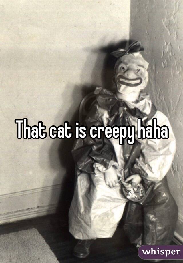 That cat is creepy haha