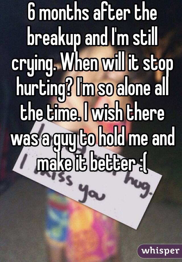 6 months after the breakup and I'm still crying. When will it stop hurting? I'm so alone all the time. I wish there was a guy to hold me and make it better :(