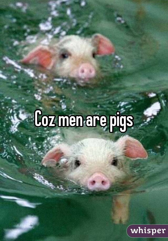 Coz men are pigs
