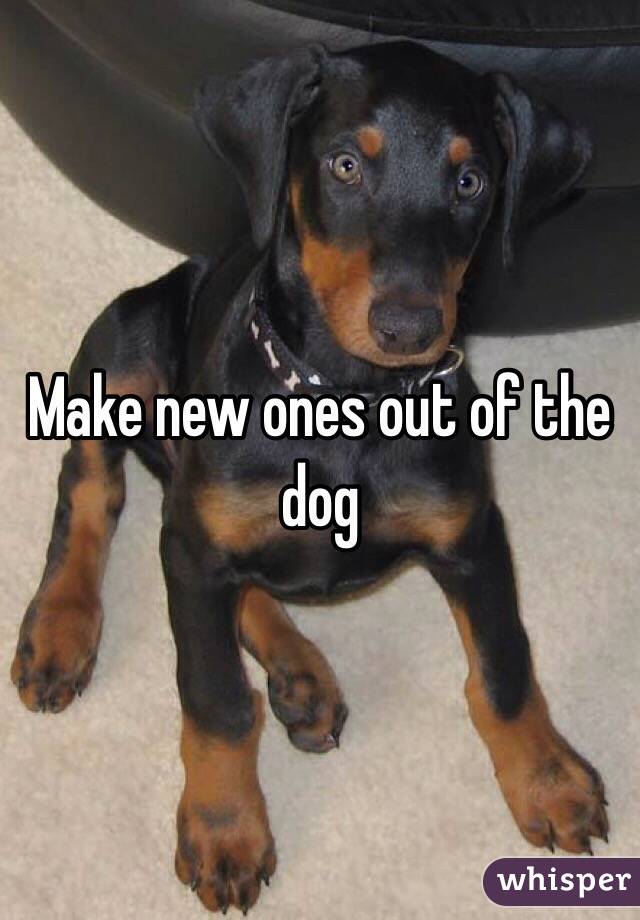 Make new ones out of the dog