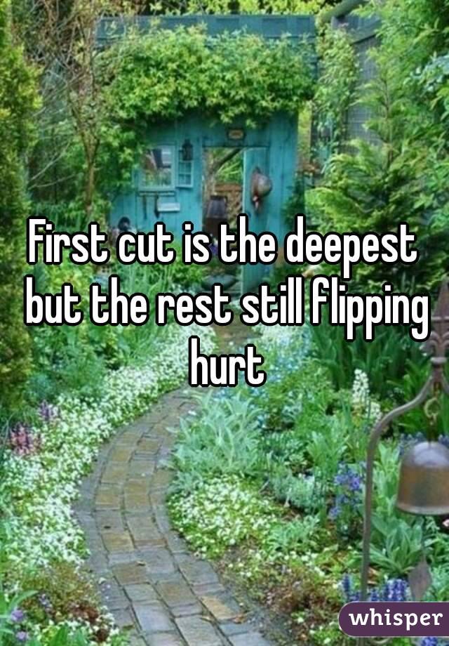 First cut is the deepest but the rest still flipping hurt