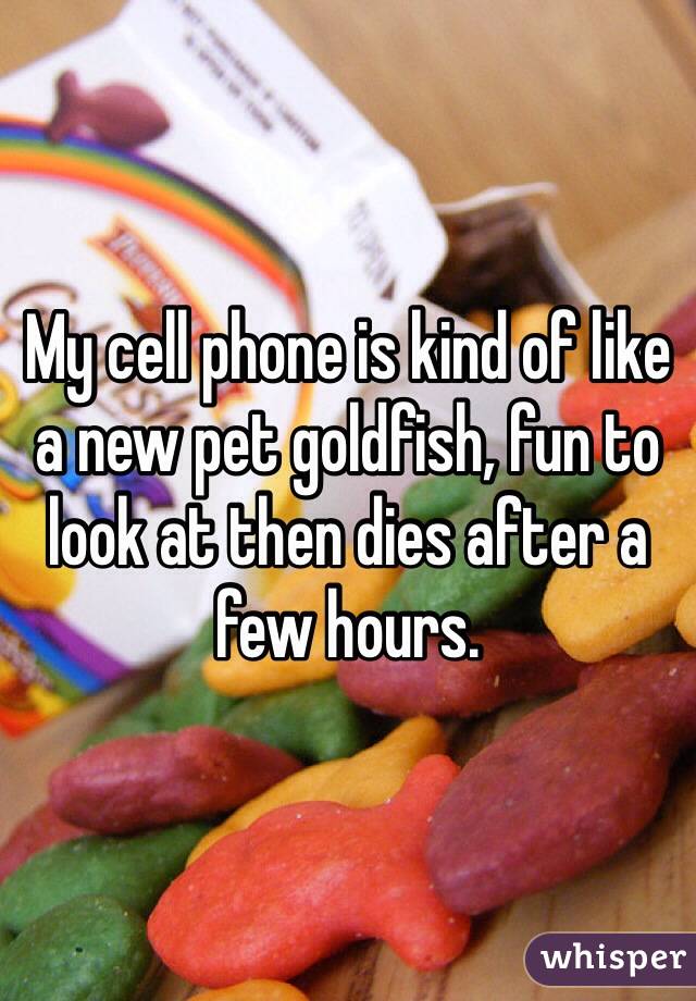 My cell phone is kind of like a new pet goldfish, fun to look at then dies after a few hours.