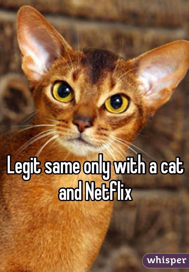 Legit same only with a cat and Netflix 