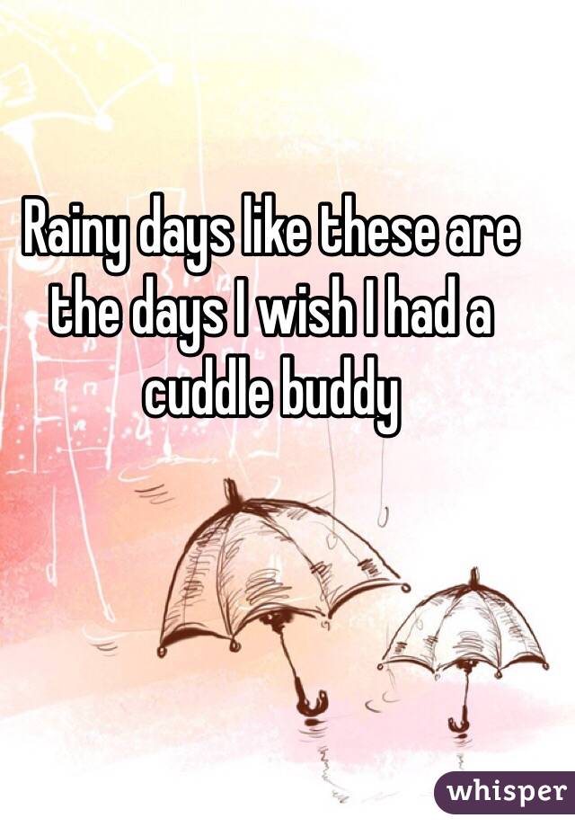 Rainy days like these are the days I wish I had a cuddle buddy 