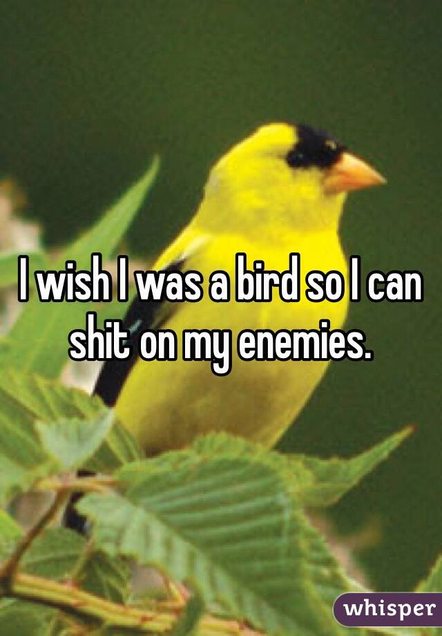 I wish I was a bird so I can shit on my enemies. 