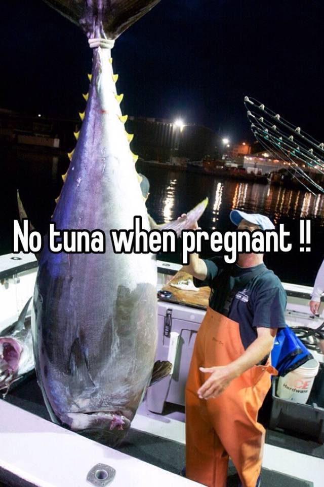 no-tuna-when-pregnant