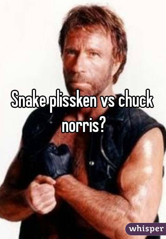 Snake plissken vs chuck norris?