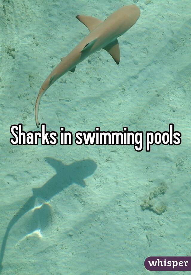 Sharks in swimming pools 