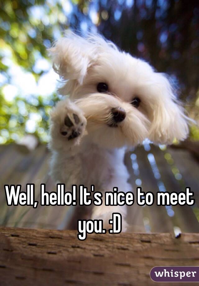 Well, hello! It's nice to meet you. :D