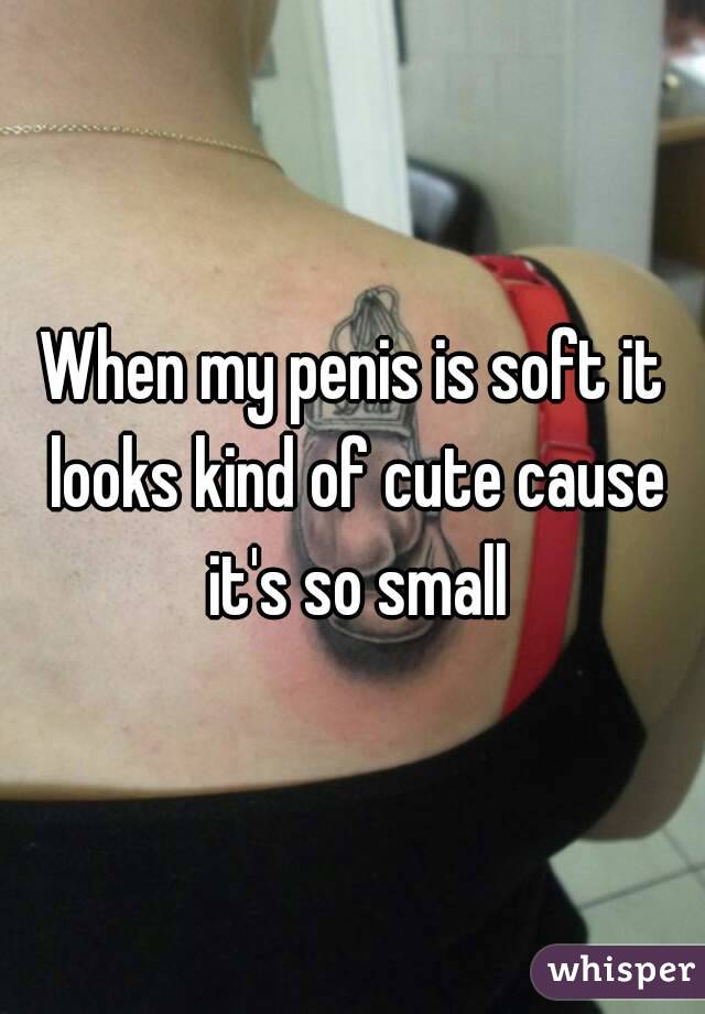 Is My Penis Small 84