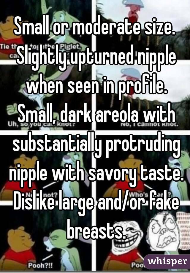 Small or moderate size. Slightly upturned nipple when seen in profile.  Small, dark areola with substantially