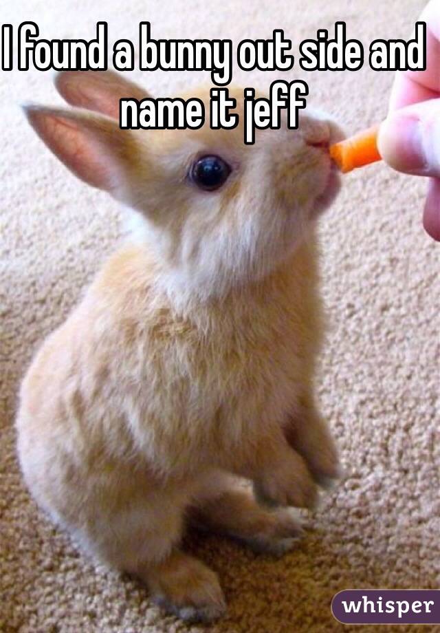 I found a bunny out side and name it jeff   