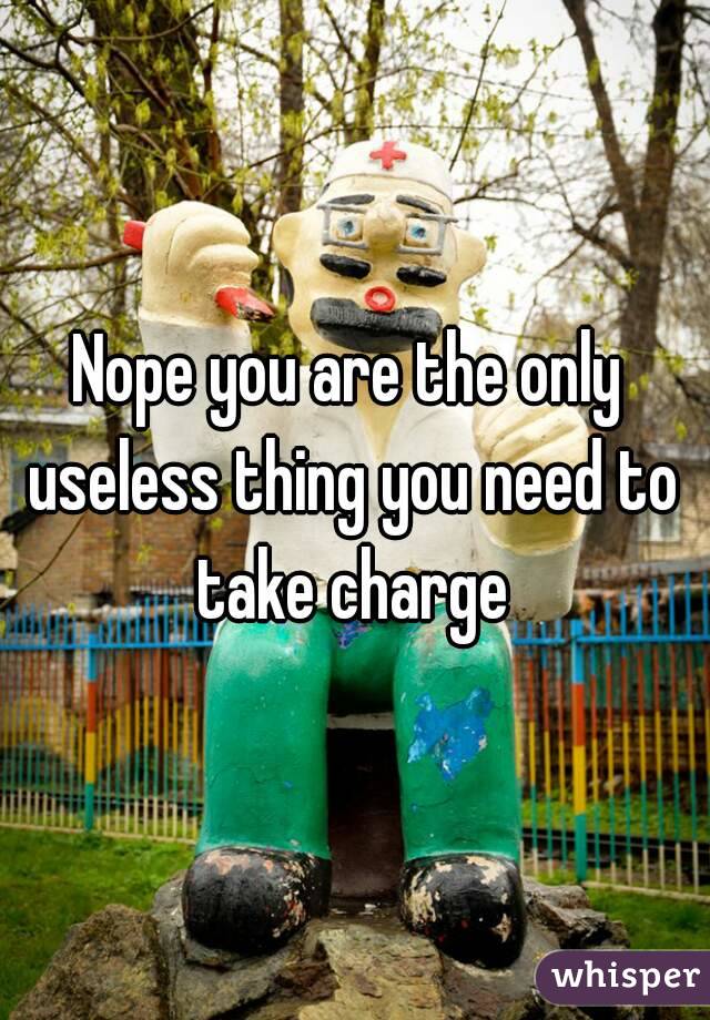 Nope you are the only 
useless thing you need to take charge 