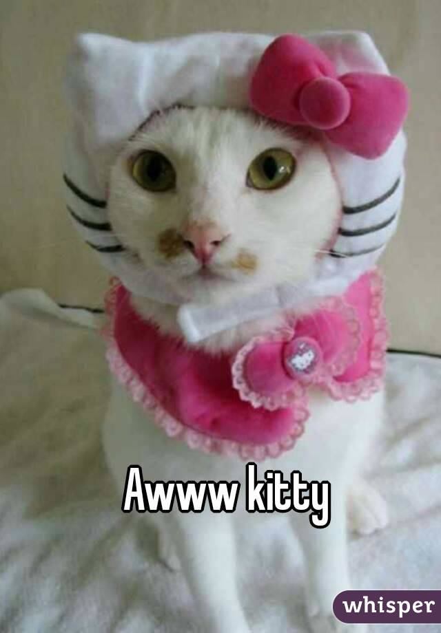 Awww kitty 