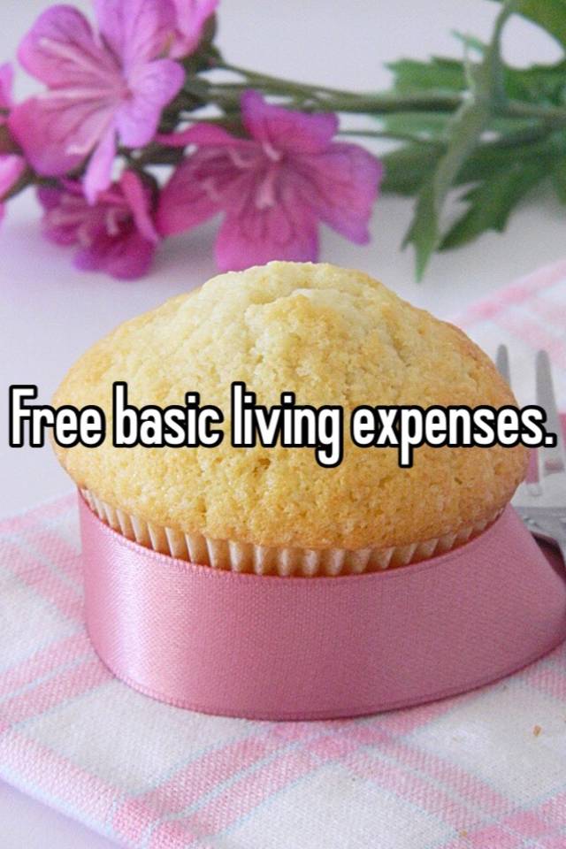 free-basic-living-expenses