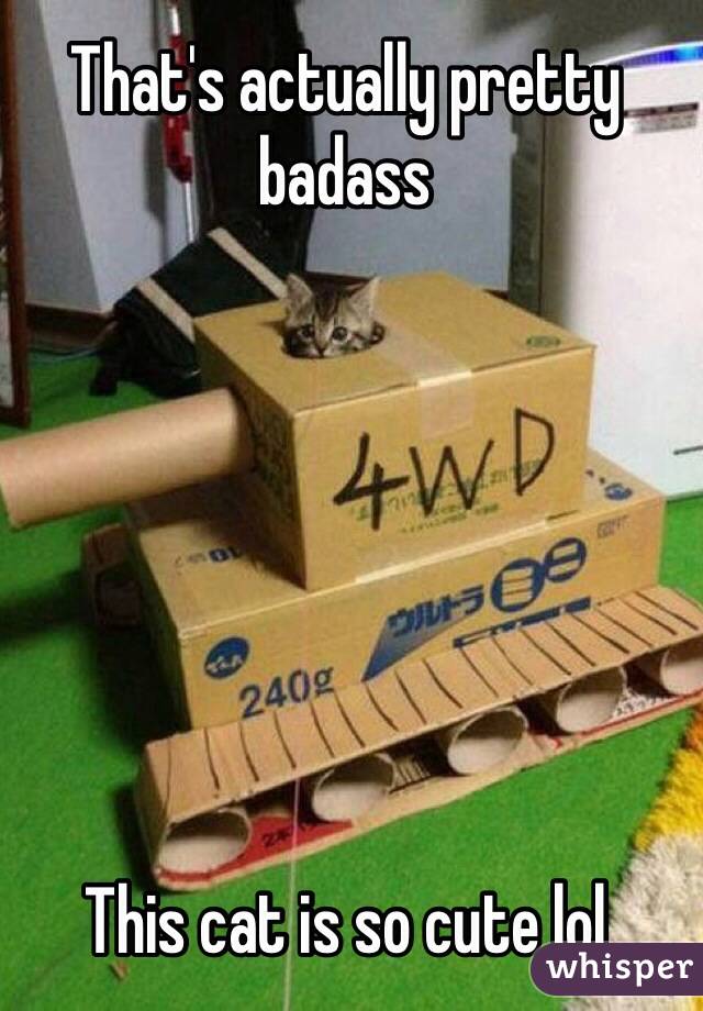 That's actually pretty badass







This cat is so cute lol