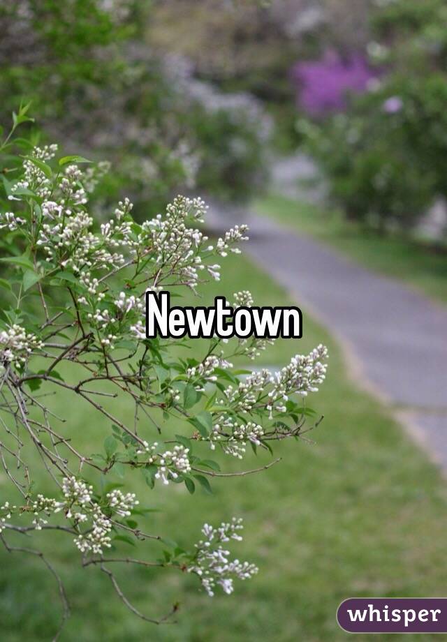 Newtown 