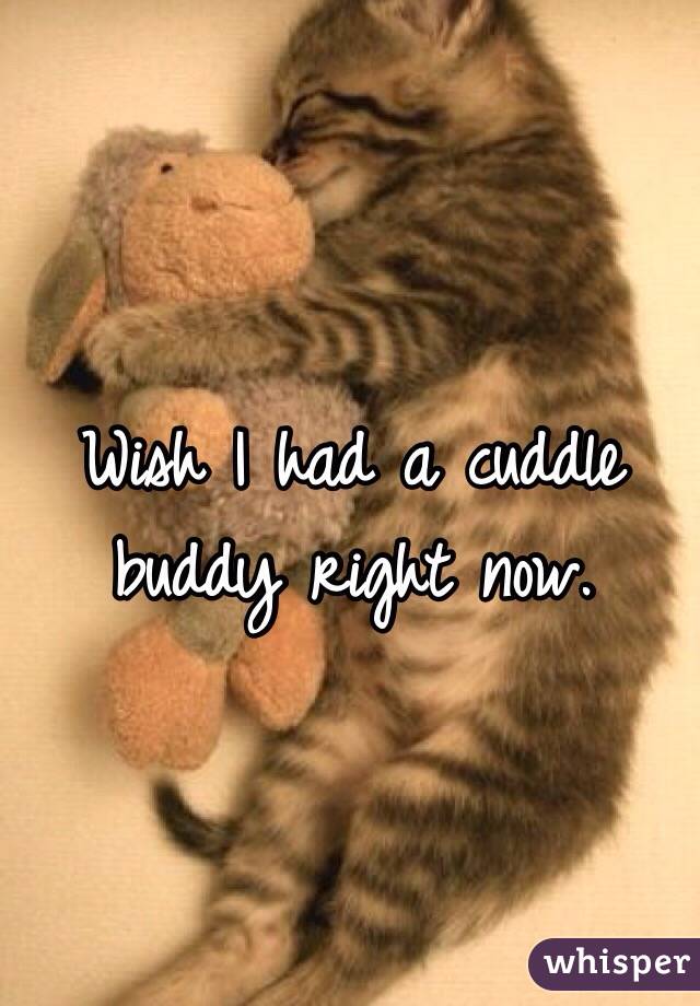 Wish I had a cuddle buddy right now. 