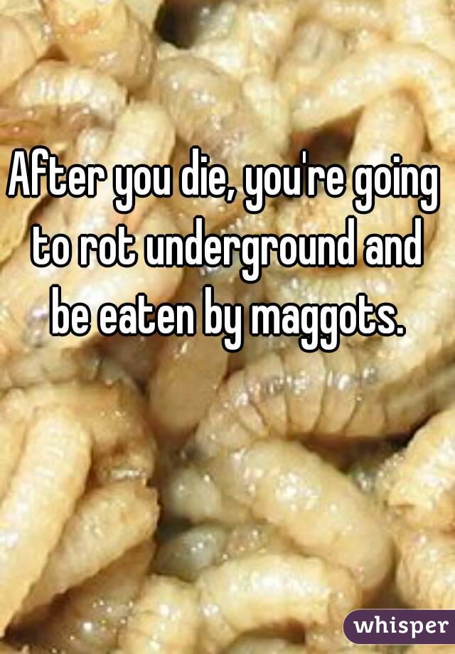 After you die, you're going to rot underground and be eaten by maggots.