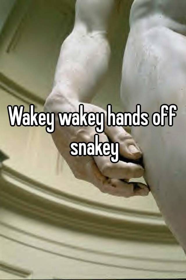 wakey wakey hands off snakey ready to rumble