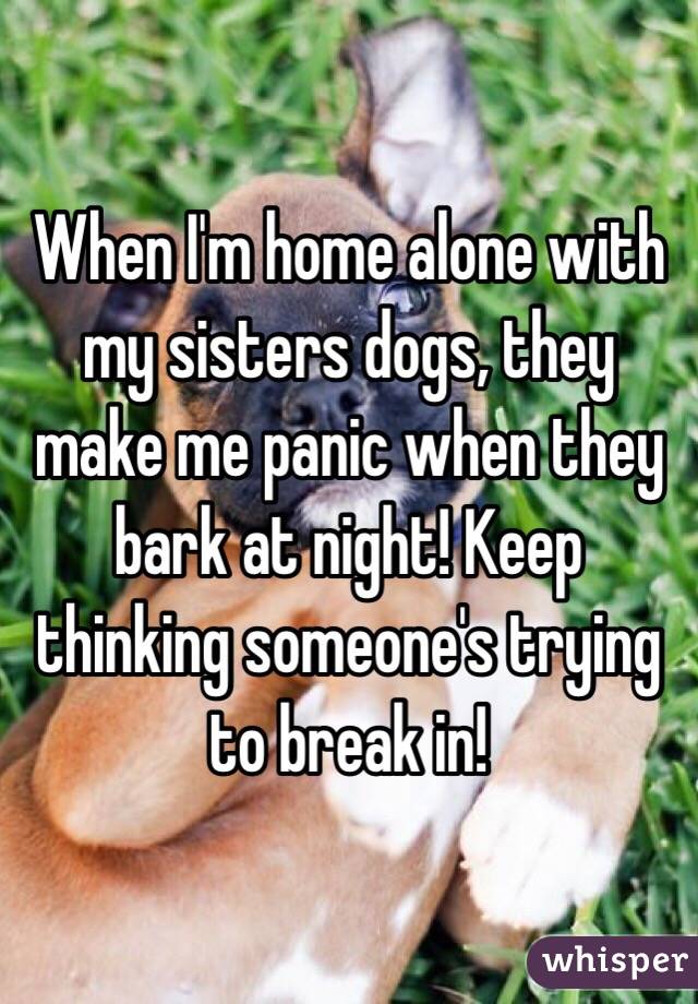 When I'm home alone with my sisters dogs, they make me panic when they bark at night! Keep thinking someone's trying to break in!