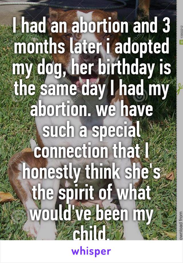 I had an abortion and 3 months later i adopted my dog, her birthday is the same day I had my abortion. we have such a special connection that I honestly think she's the spirit of what would've been my child.