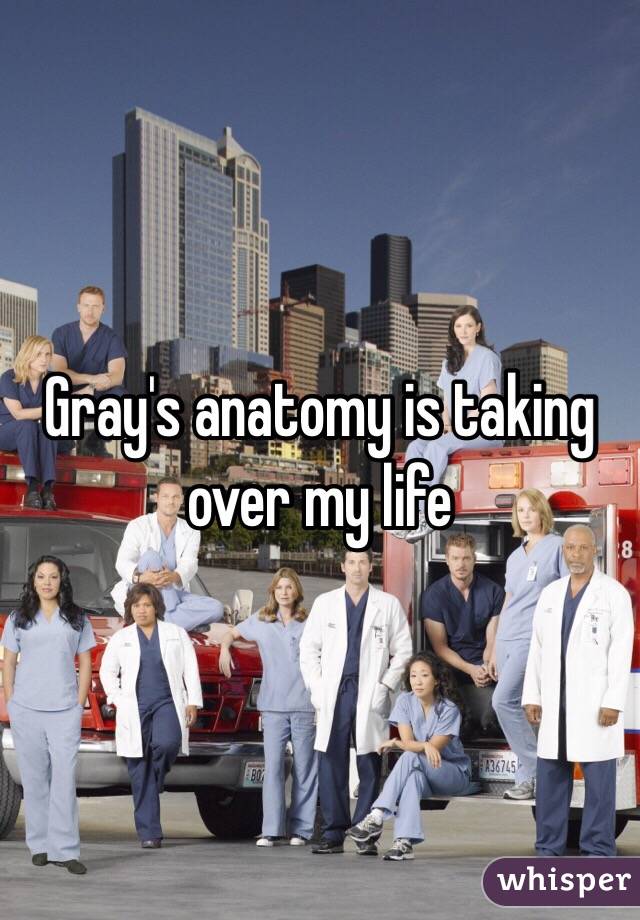 Gray's anatomy is taking over my life