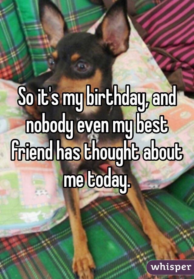 So it's my birthday, and nobody even my best friend has thought about me today. 