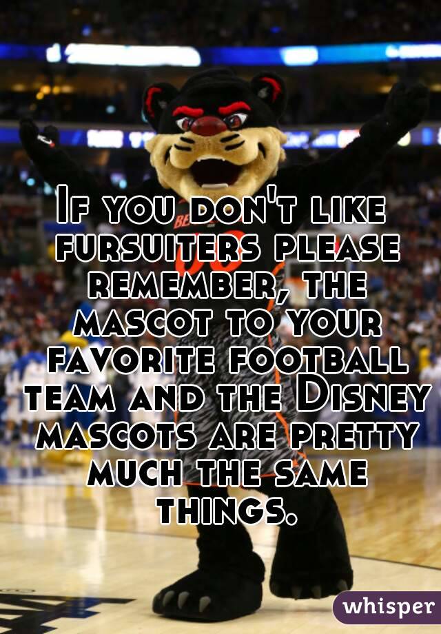 If you don't like fursuiters please remember, the mascot to your favorite football team and the Disney mascots are pretty much the same things.