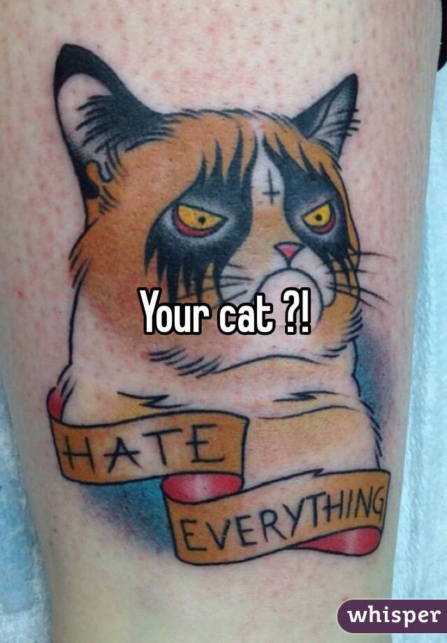 Your cat ?!